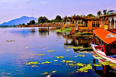 srinagar-img