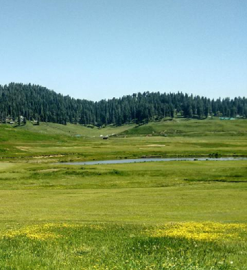 Opulent Kashmir Tour